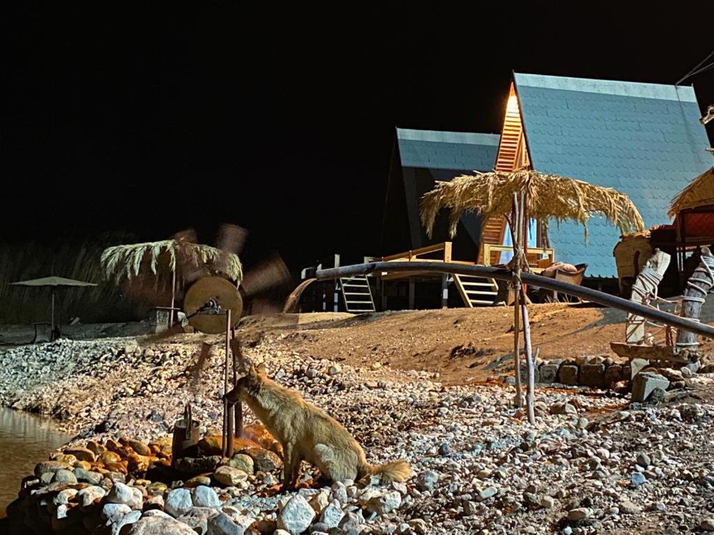 מלון Khawkhah Wadi Al-Hassa Camp מראה חיצוני תמונה