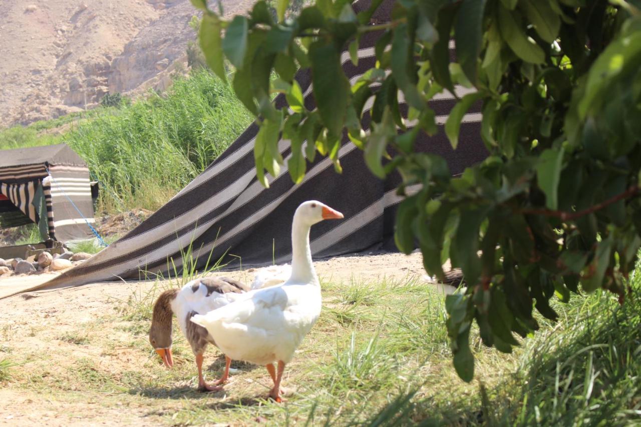 מלון Khawkhah Wadi Al-Hassa Camp מראה חיצוני תמונה