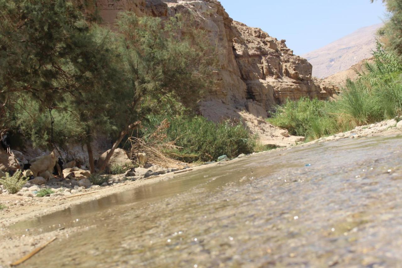 מלון Khawkhah Wadi Al-Hassa Camp מראה חיצוני תמונה