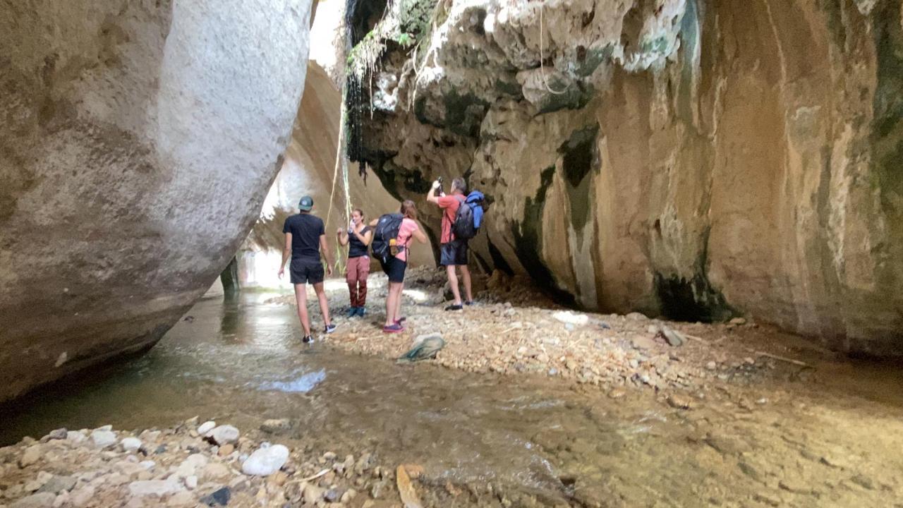 מלון Khawkhah Wadi Al-Hassa Camp מראה חיצוני תמונה