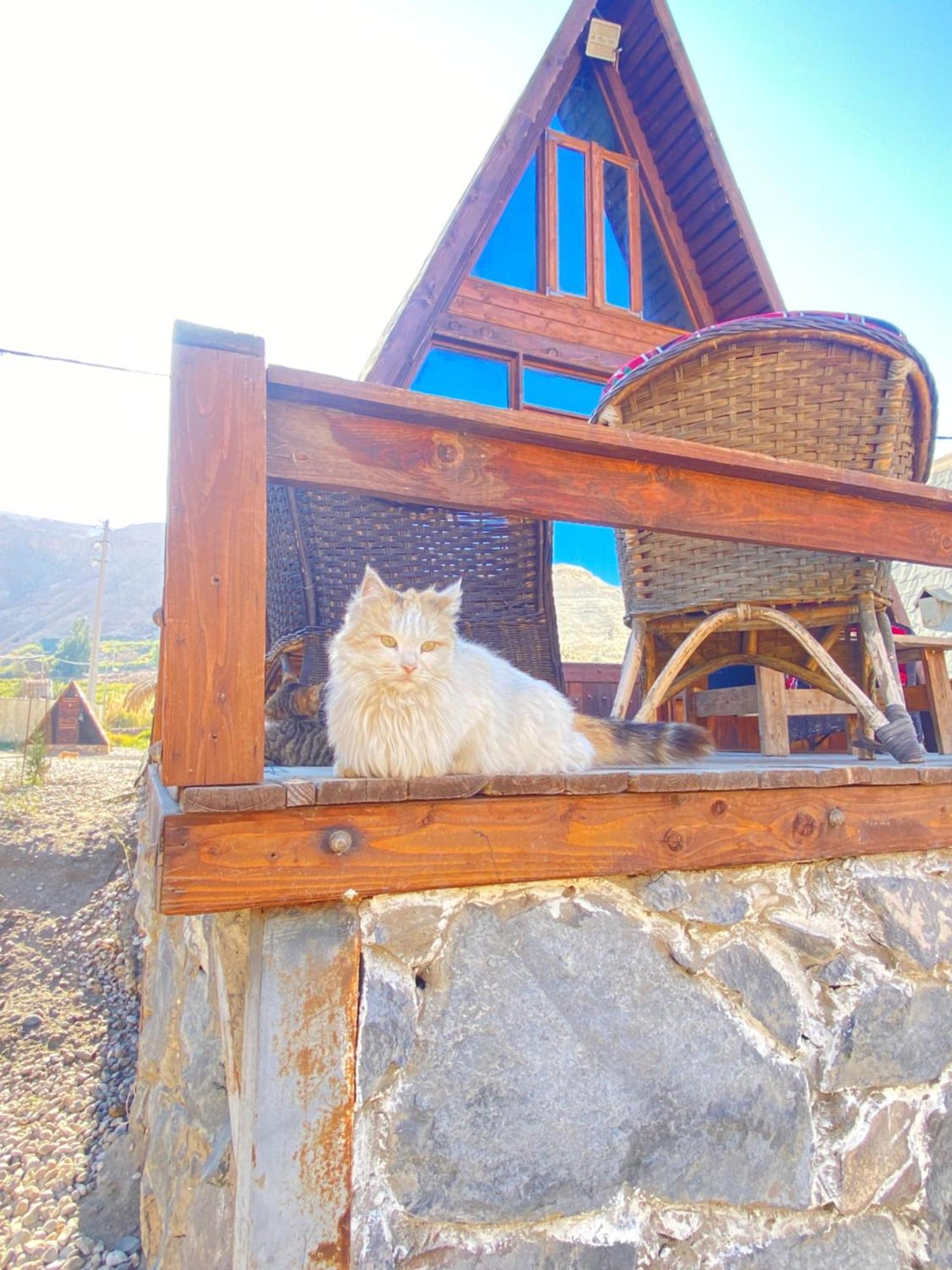 מלון Khawkhah Wadi Al-Hassa Camp מראה חיצוני תמונה